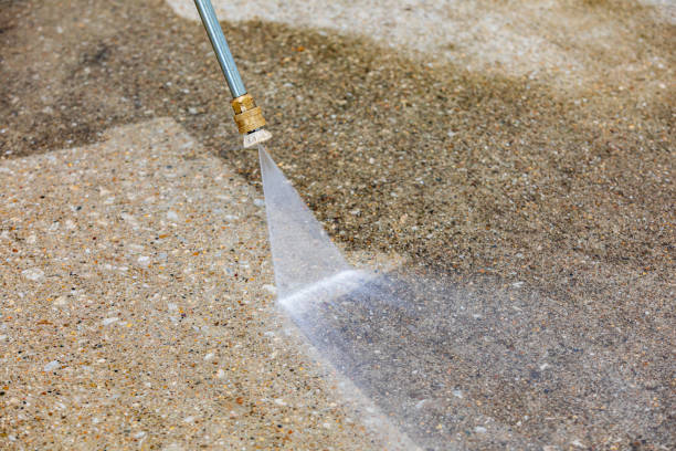 Best House Exterior Washing  in Au Sable, MI